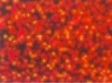 Folia holograficzna samoprzylepna. Rodzaj: dots red Rolka 35x50cm - Kod: 110/22 Folia holograficzna samoprzylepna. Rodzaj: dots red Rolka 35x50cm - Kod: 110/22