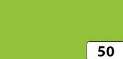 Bristol A-4 , nr kol. 50- Kolor: zielony-majowy , gramatura 300 a 50 ark. Kod towaru : 6145050 Bristol A-4 , nr kol. 50- Kolor: zielony-majowy , gramatura 300 a 50 ark. Kod towaru : 6145050