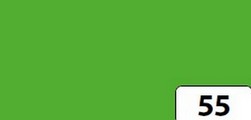Bristol A-4 , nr kol. 55 - Kolor : jasnozielony , gramatura 300 a 50 ark. Kod towaru : 6145055 Bristol A-4 , nr kol. 55 - Kolor : jasnozielony , gramatura 300 a 50 ark. Kod towaru : 6145055