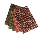 Karton 300g NATURA ,24x34cm ,5 ark miks Karton 300g NATURA ,24x34cm ,5 ark miks