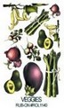 Kalkomania : Veggies Kod : ROL1140 Kalkomania : Veggies Kod : ROL1140