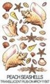Kalkomania : Peach Seashells Translucenf Kod : ROY1156T 