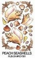 Kalkomania : Peach Seashells Kod : ROY561