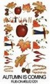 Kalkomania : Autumn Kod : SUG1201 