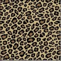 Bibuła satynowana , Rodzaj : Leopard , format : 25x37 a 8 - Kod: TIS-D-196
