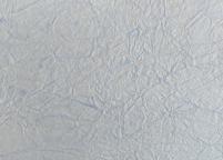 Karton - Metallic Crinckle Jasnoniebieski 50x70 cm a 5 ark. Kod : UR139831